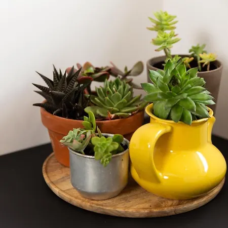 Destination Sea Ii Apartmán