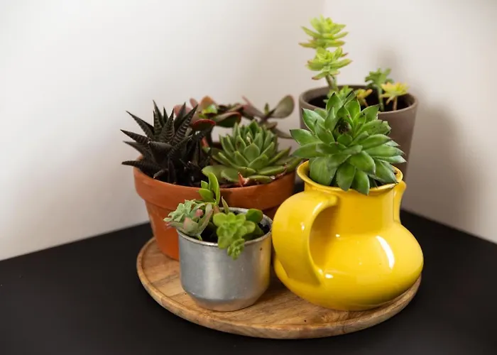 Destination Sea Ii Appartamento